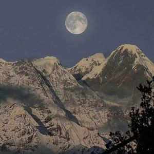 裸体美女馒头屄视频网站
