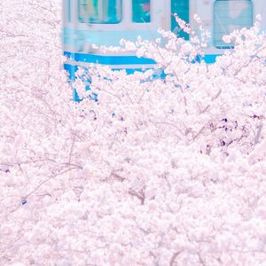 裸体美女馒头屄视频网站
